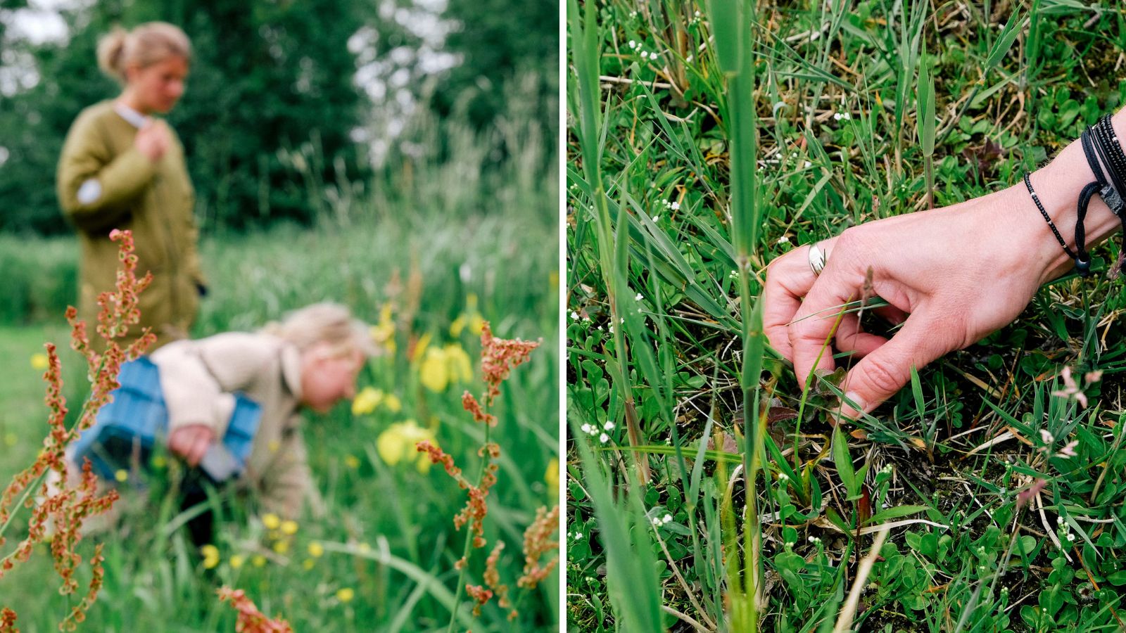 Foto door: Ella Elisabeth